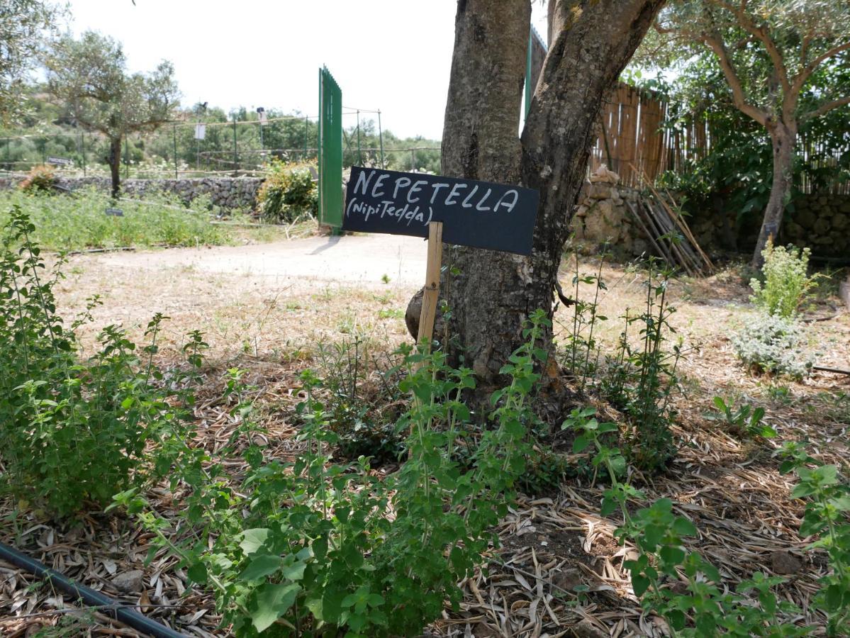 Villa Pantalica Ranch Agriturismo Siciliano Sortino Exterior foto